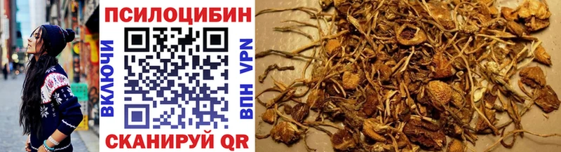 Галлюциногенные грибы мухоморы  где можно купить   Голицыно 